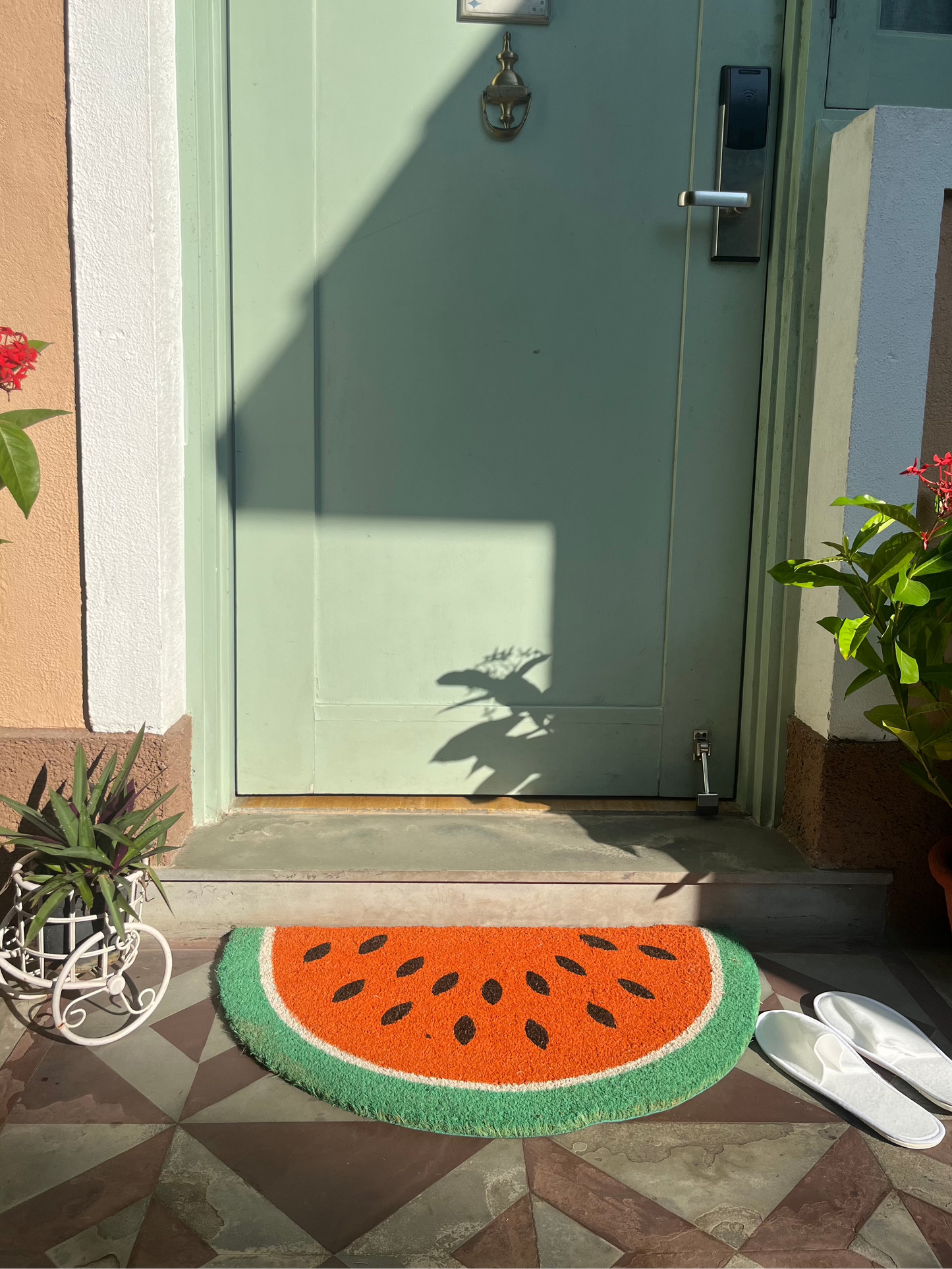 Watermelon Coir Door Mat