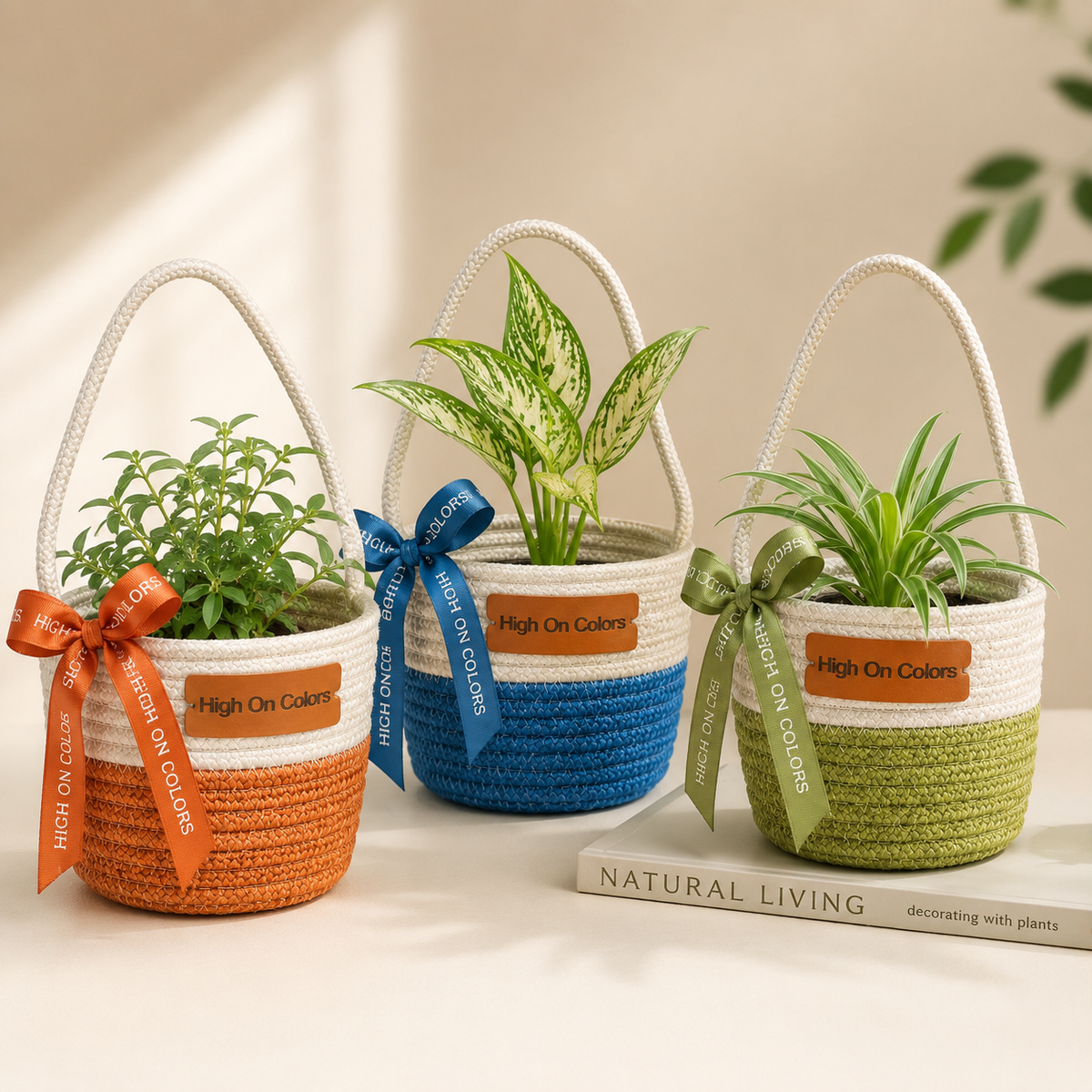 Plants